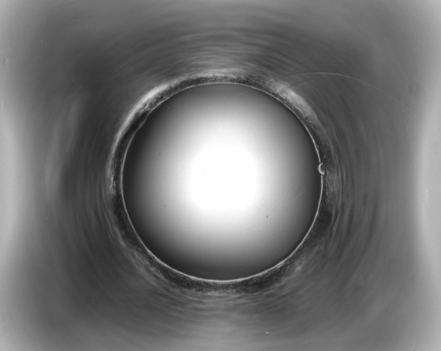 X0000086910628200704301038