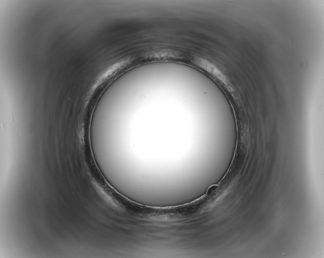 X0000086910629200704301038