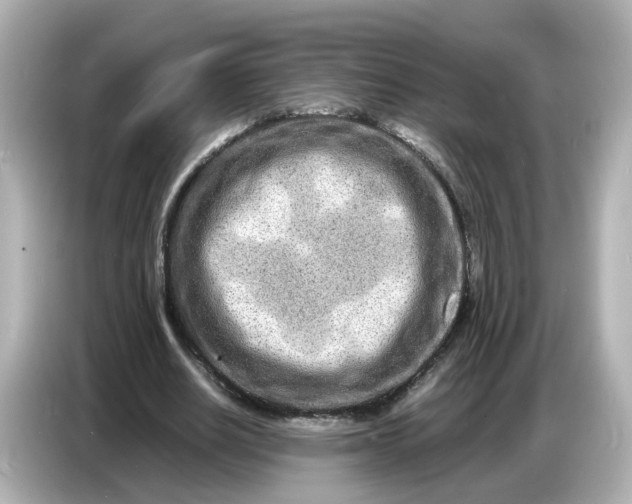 X0000086910630200704301038