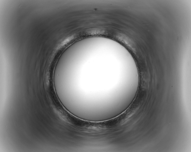 X0000086910631200704301038