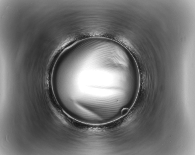 X0000086910634200704301038