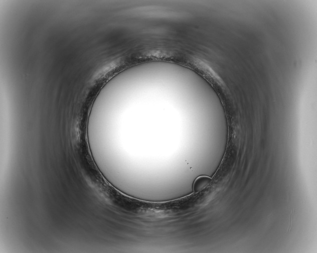 X0000086910635200704301038