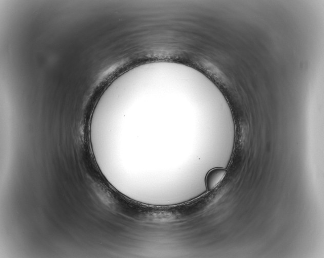 X0000086910636200704301038