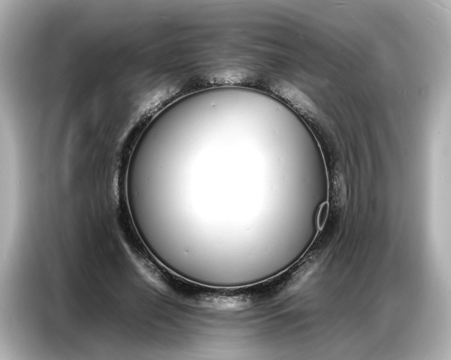 X0000086910638200704301038