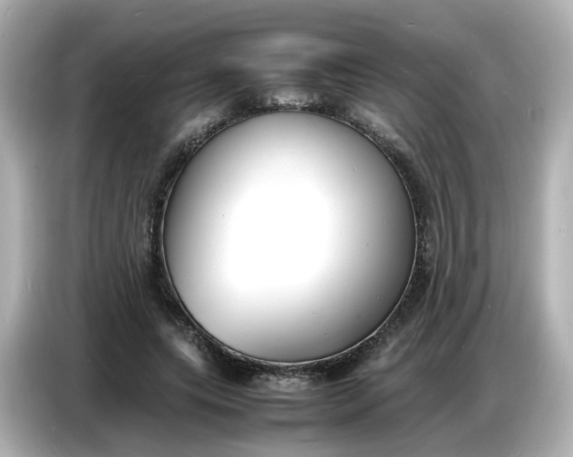 X0000086910639200704301038