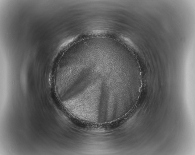 X0000086910640200704301038