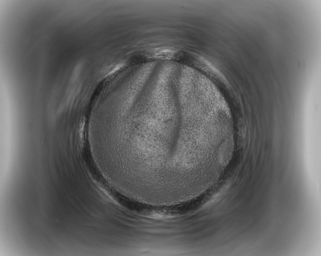 X0000086910641200704301038