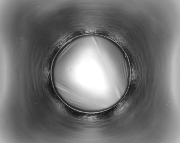 X0000086910648200704301038