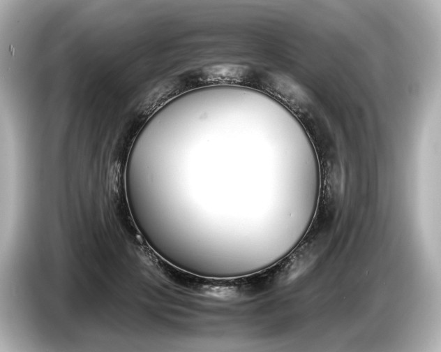 X0000086910649200704301038