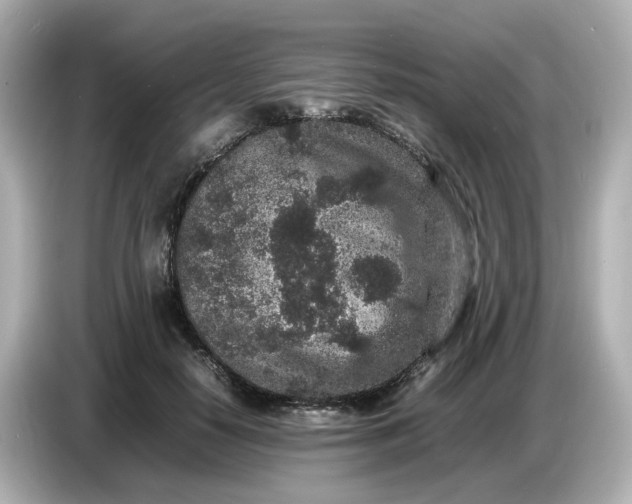 X0000086910650200704301038