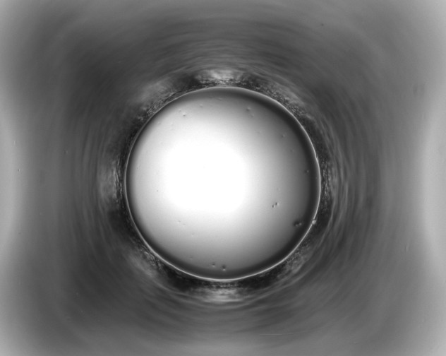 X0000086910651200704301038