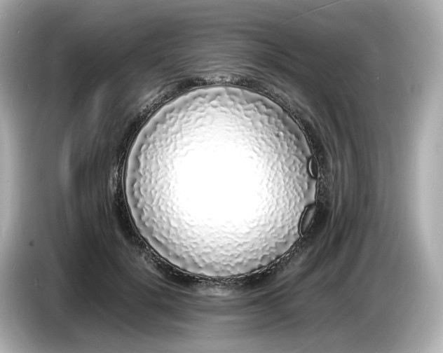 X0000086910652200704301038