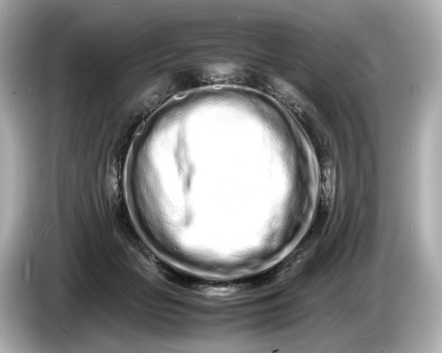 X0000086910653200704301038