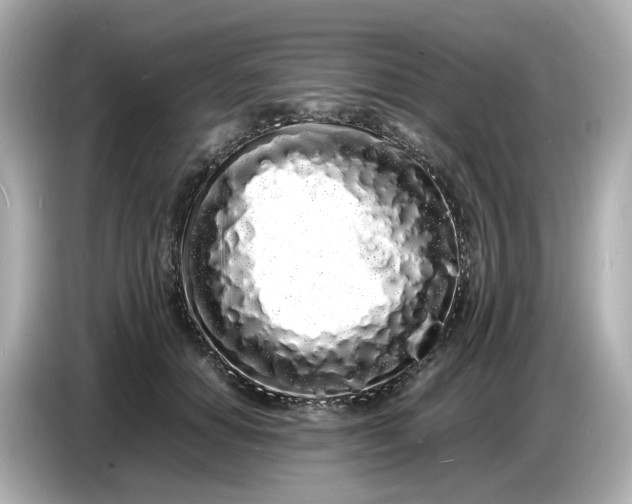 X0000086910654200704301038