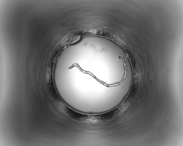 X0000086910656200704301038