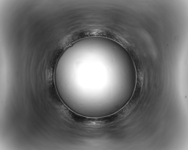 X0000086910657200704301038