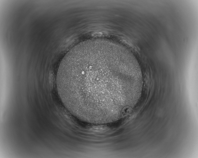 X0000086910659200704301038