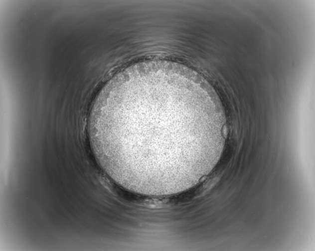 X0000086910660200704301038