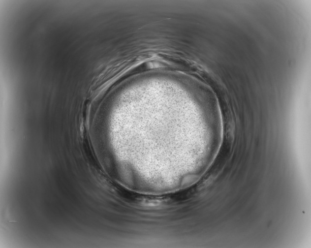 X0000086910661200704301038