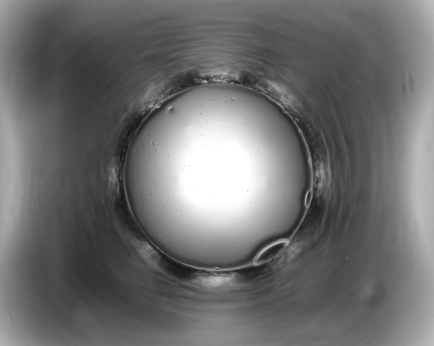 X0000086910662200704301038