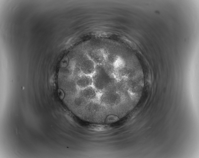 X0000086910663200704301038