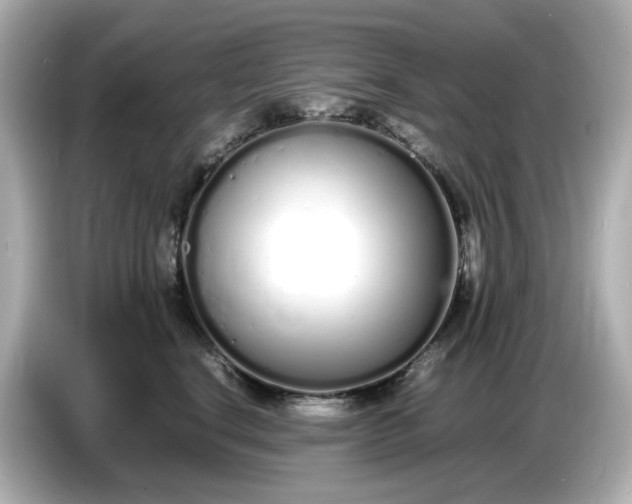 X0000086910664200704301038