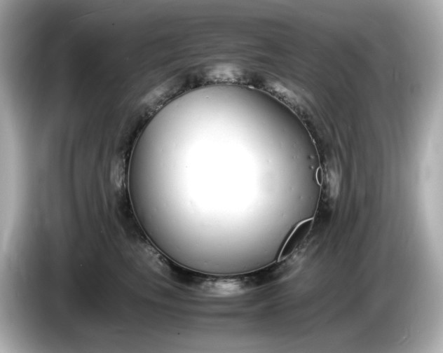 X0000086910665200704301038