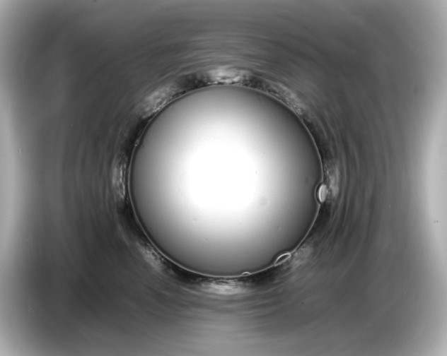 X0000086910666200704301038