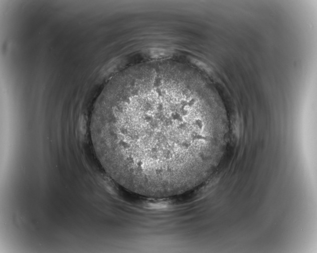 X0000086910667200704301038