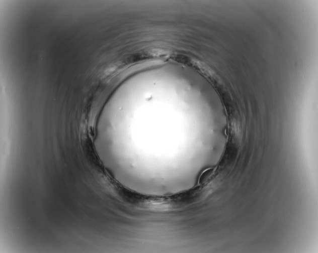 X0000086910668200704301038