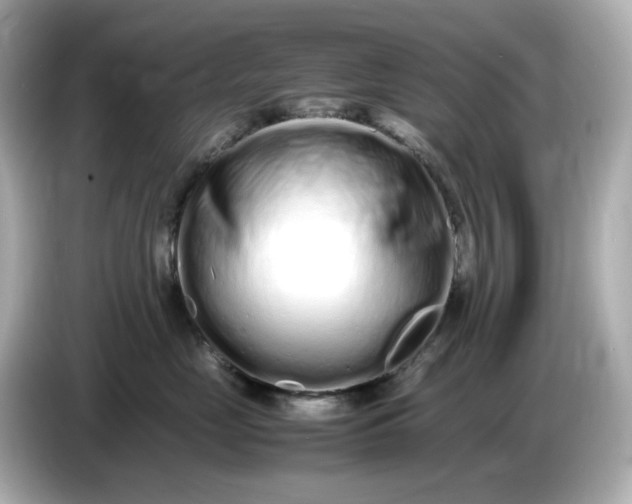 X0000086910669200704301038