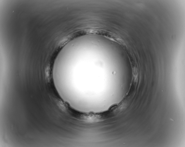 X0000086910670200704301038