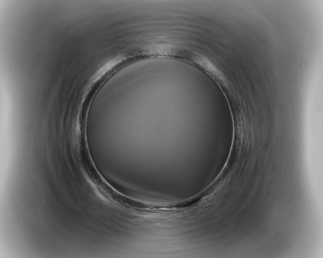 X0000086910674200704301038