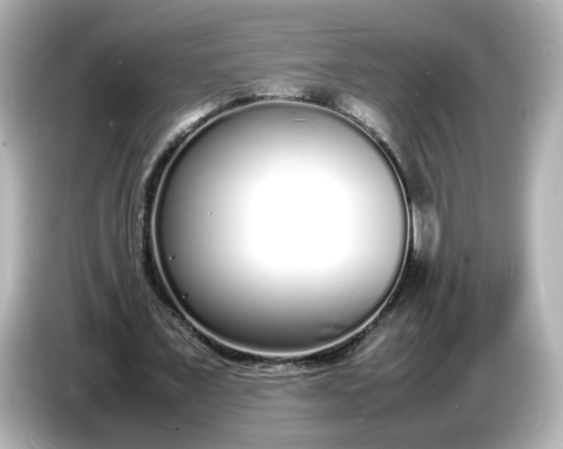 X0000086910675200704301038