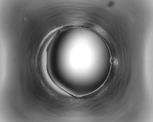 X0000086910676200704301038