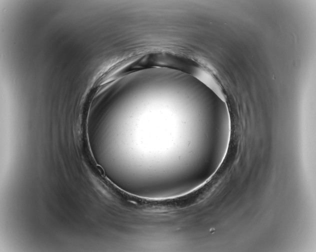 X0000086910677200704301038