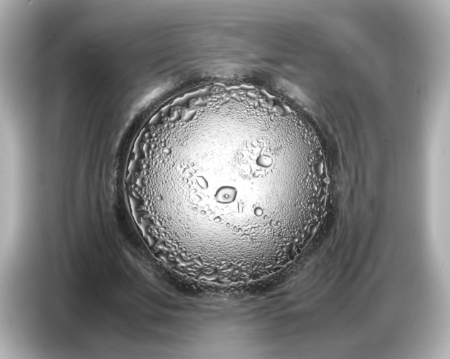 X0000086910679200704301038