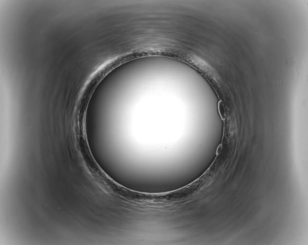 X0000086910680200704301038