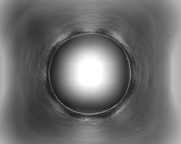 X0000086910681200704301037