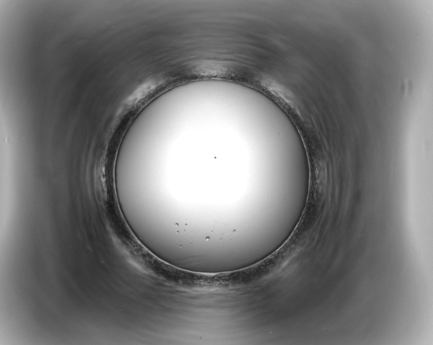 X0000086910682200704301037