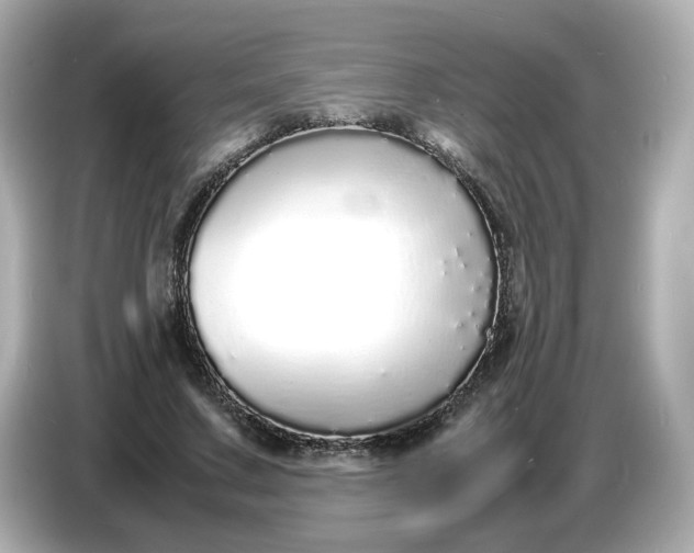 X0000086910683200704301037