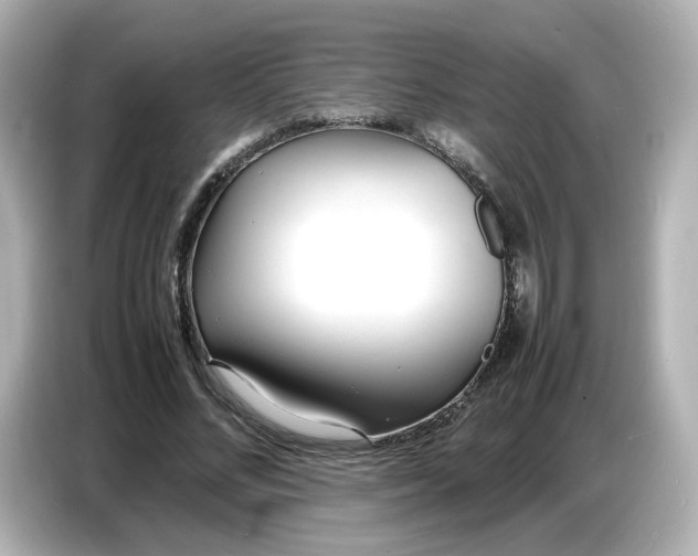 X0000086910684200704301037