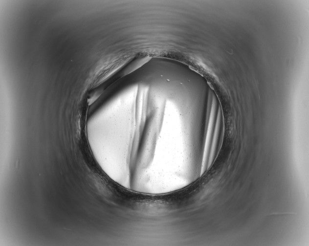 X0000086910685200704301037