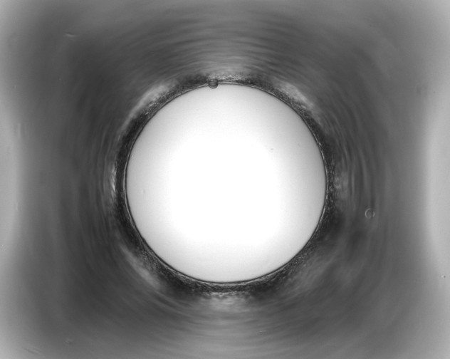 X0000086910686200704301037