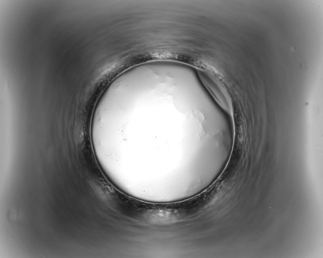 X0000086910687200704301037