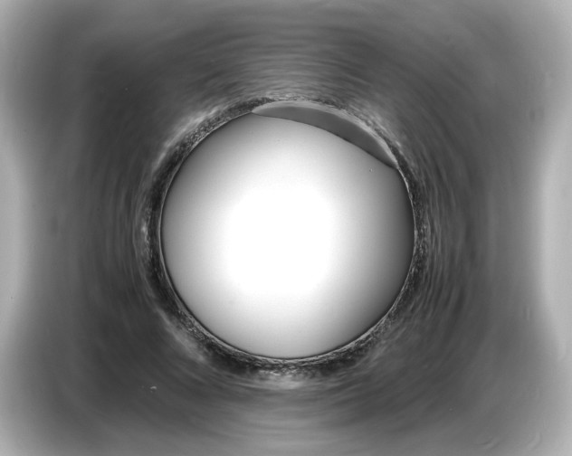 X0000086910688200704301037