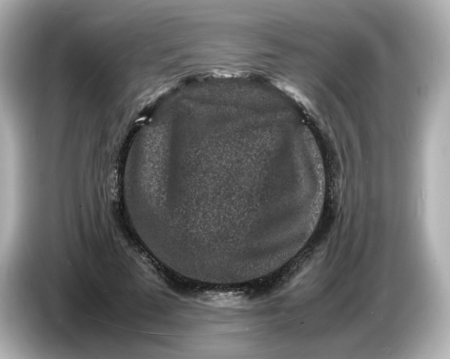 X0000086910689200704301037