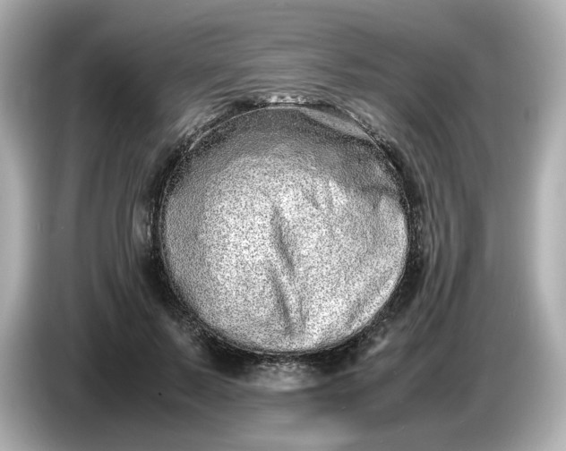 X0000086910695200704301037