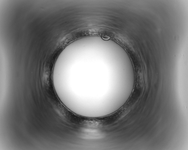 X0000086910698200704301037