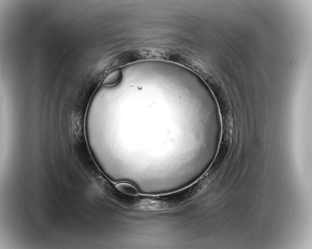 X0000086910699200704301037